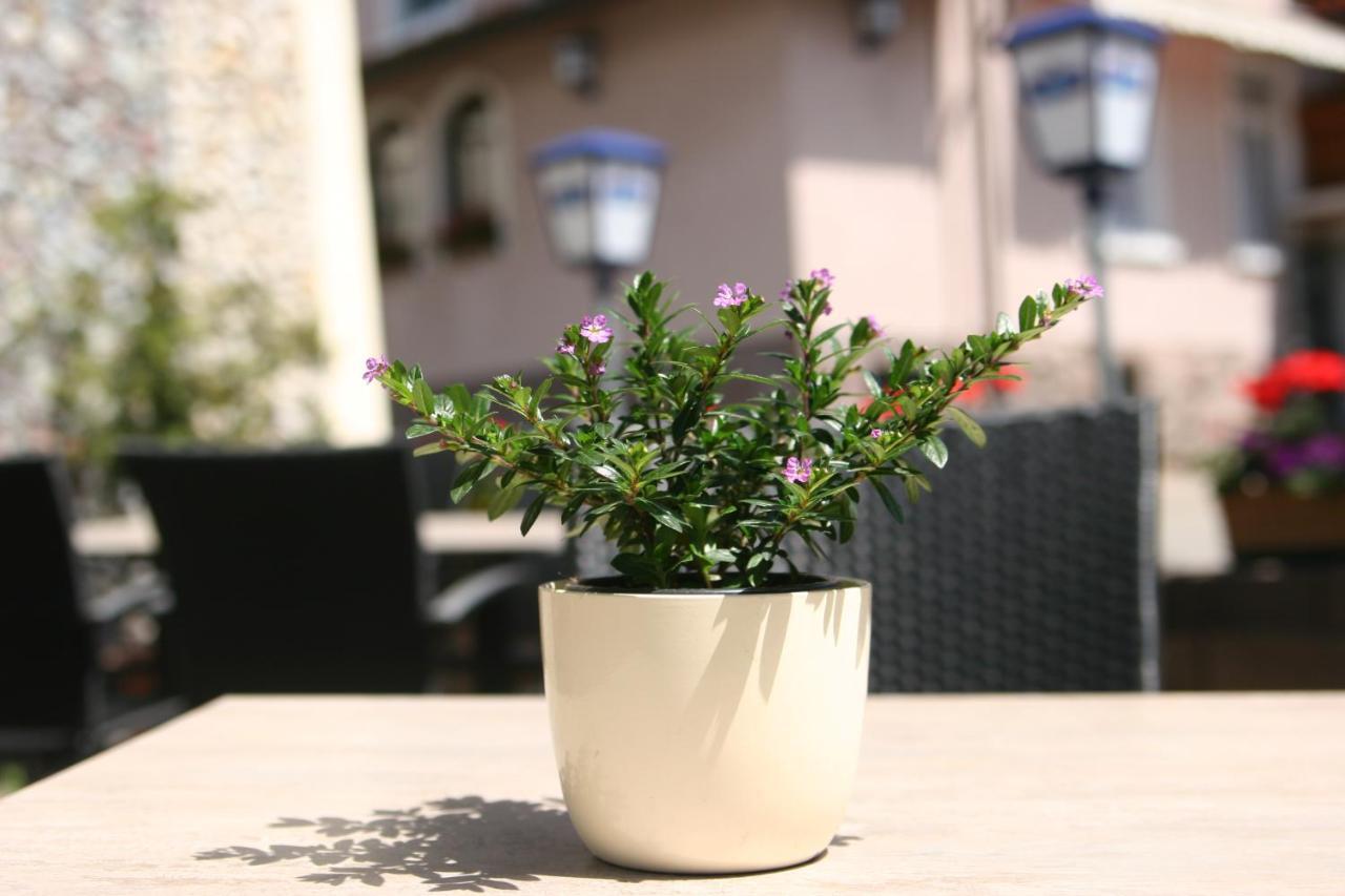 Restaurant Zum Hirschen Donaueschingen